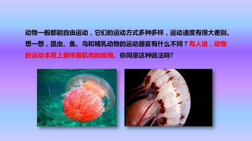人教八年級(jí)上冊(cè)生物課件第五單元第二章第一節(jié) 動(dòng)物的運(yùn)動(dòng)課件 24張ppt