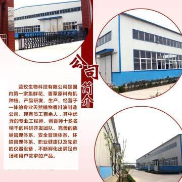 天竺葵純露 深層凈化肌膚，煥活水潤光彩——藍玫丫廠家直銷美容院裝專業解析